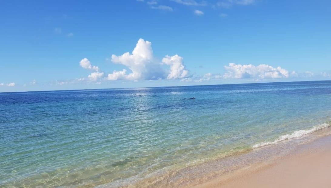 Appartement Paradisiaque Entre Hammamet Et Nabeul Eksteriør bilde